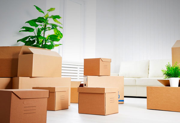 Packers And Movers In Mumbai | Call Now 08000702549