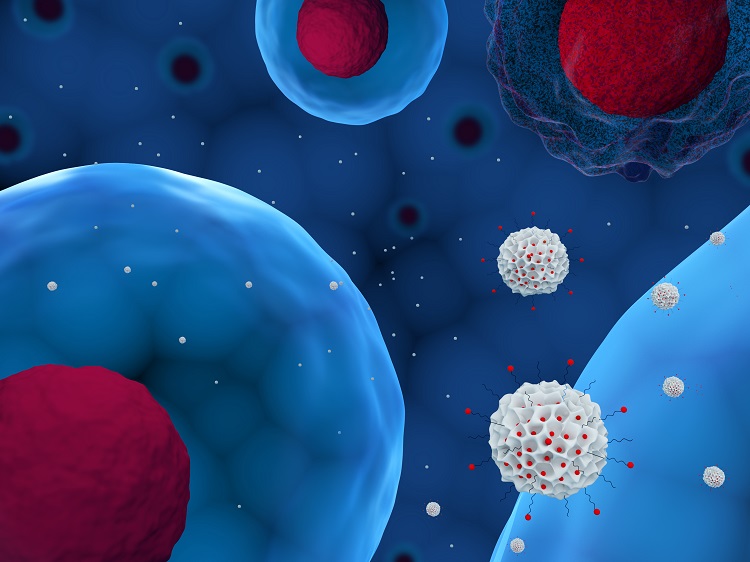 Mesoporous Silica Market Key Players, Dynamics & Latest Trades Report to 2030