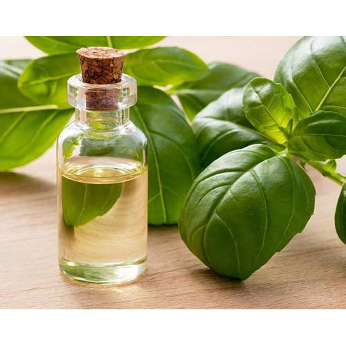 Basil Oil Market Size, Drivers, Restraints Challenges, and Growth Opportunities Till 2028