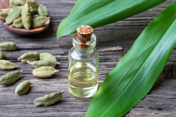 Global Cardamom Oil Market Share, Latest Trades and Growth Analysis Report Till 2030