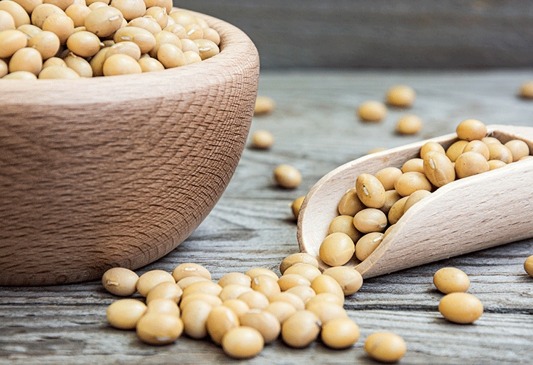 Soy Lecithin Market Share | Industry Analysis By Top Key Players, Demand, Growth factors to 2030