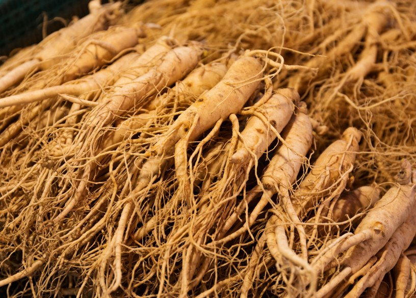 Ginseng Market 2021 Analysis Report by Recent Developments and Emerging Technologies Till 2027