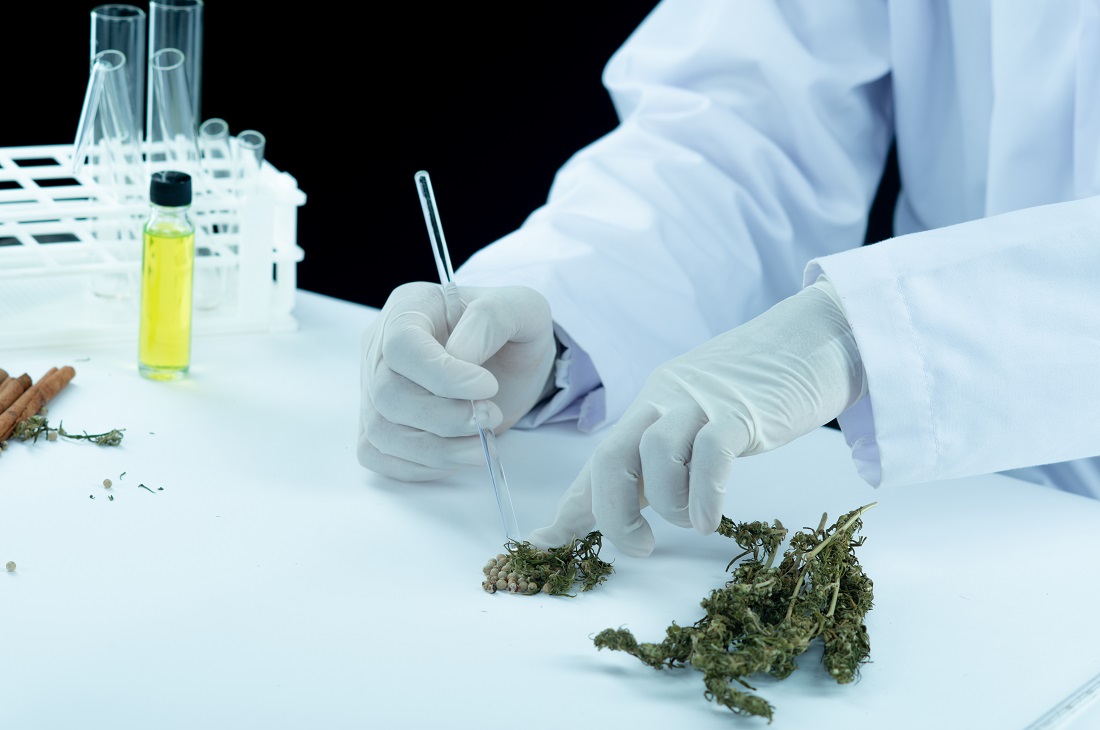 420 Evaluations From Licensed Medical Marijuana Doctor