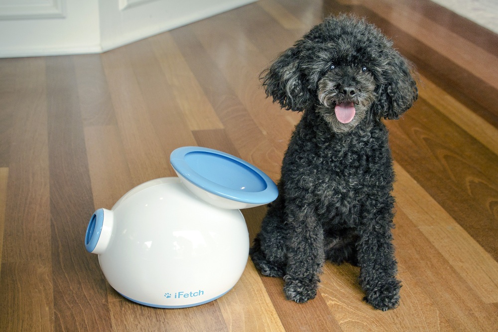 Ifetch Too- An Automatic Ball Launcher Dog Toy