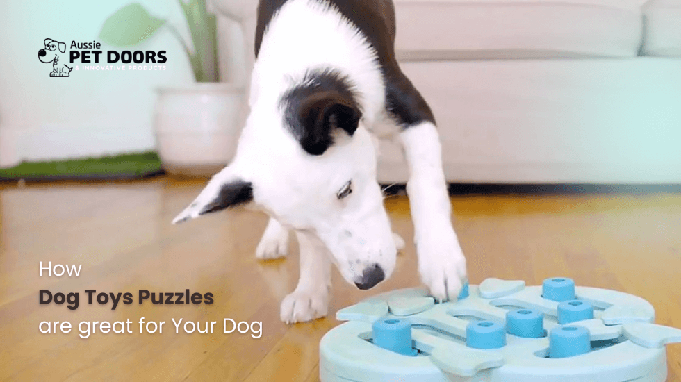 How Dog Toys Puzzles are great for Your Dog?