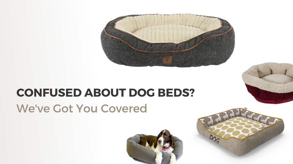 Confused About Dog Beds? We’ve Got You Covered
