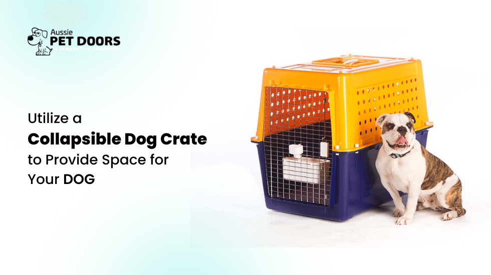 Utilize a Collapsible Dog Crate to Provide Space for Your Dog