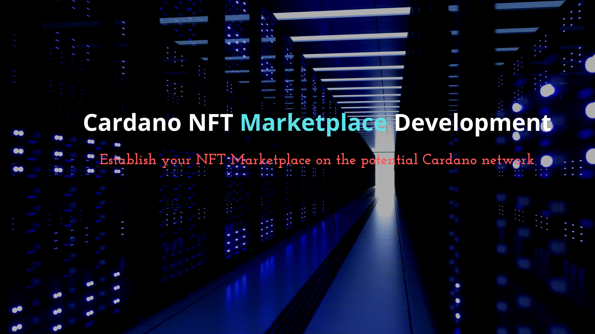 Establish your NFT Marketplace on the potential Cardano network