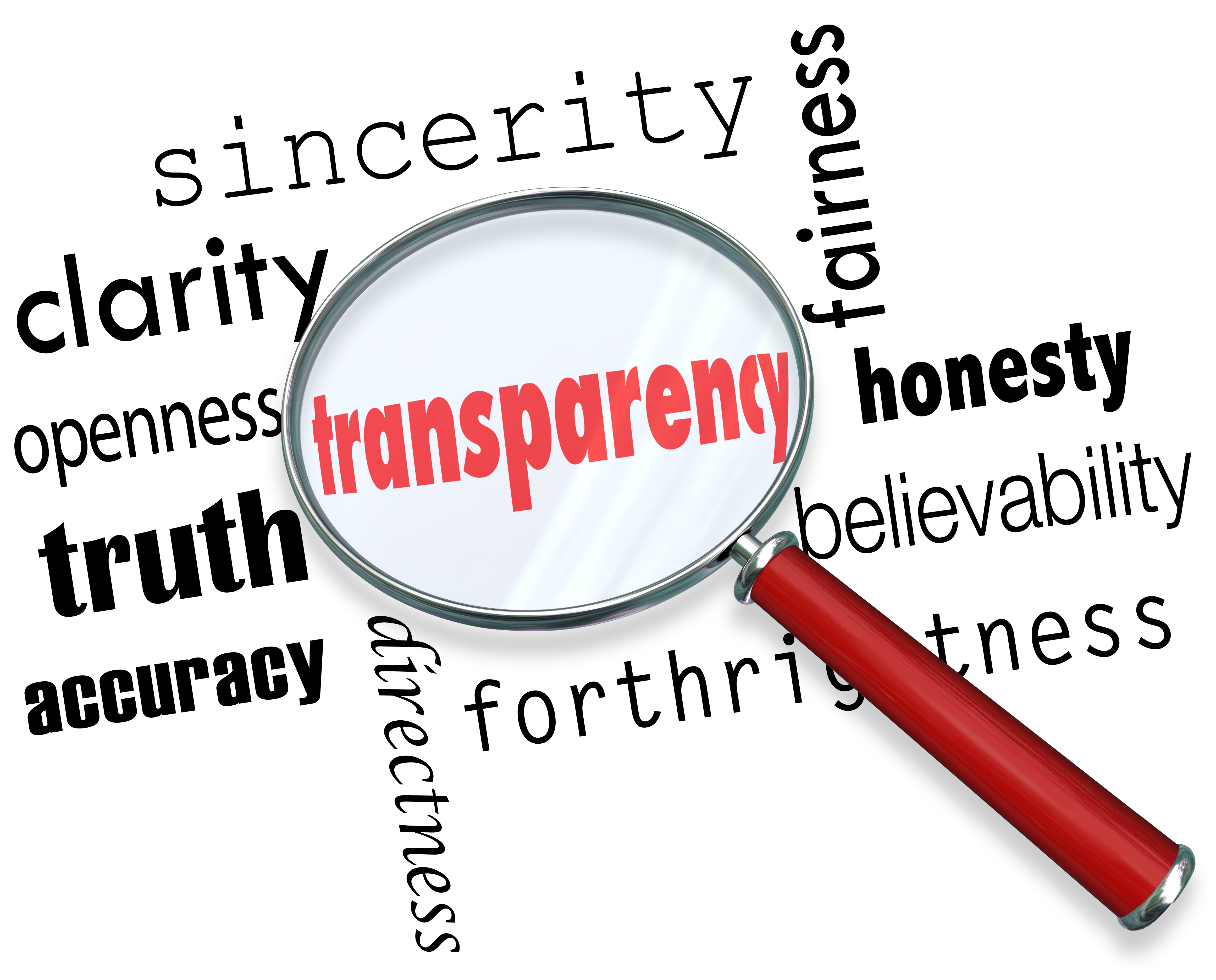 ￼The Truth About the Digital Marketing Transparency