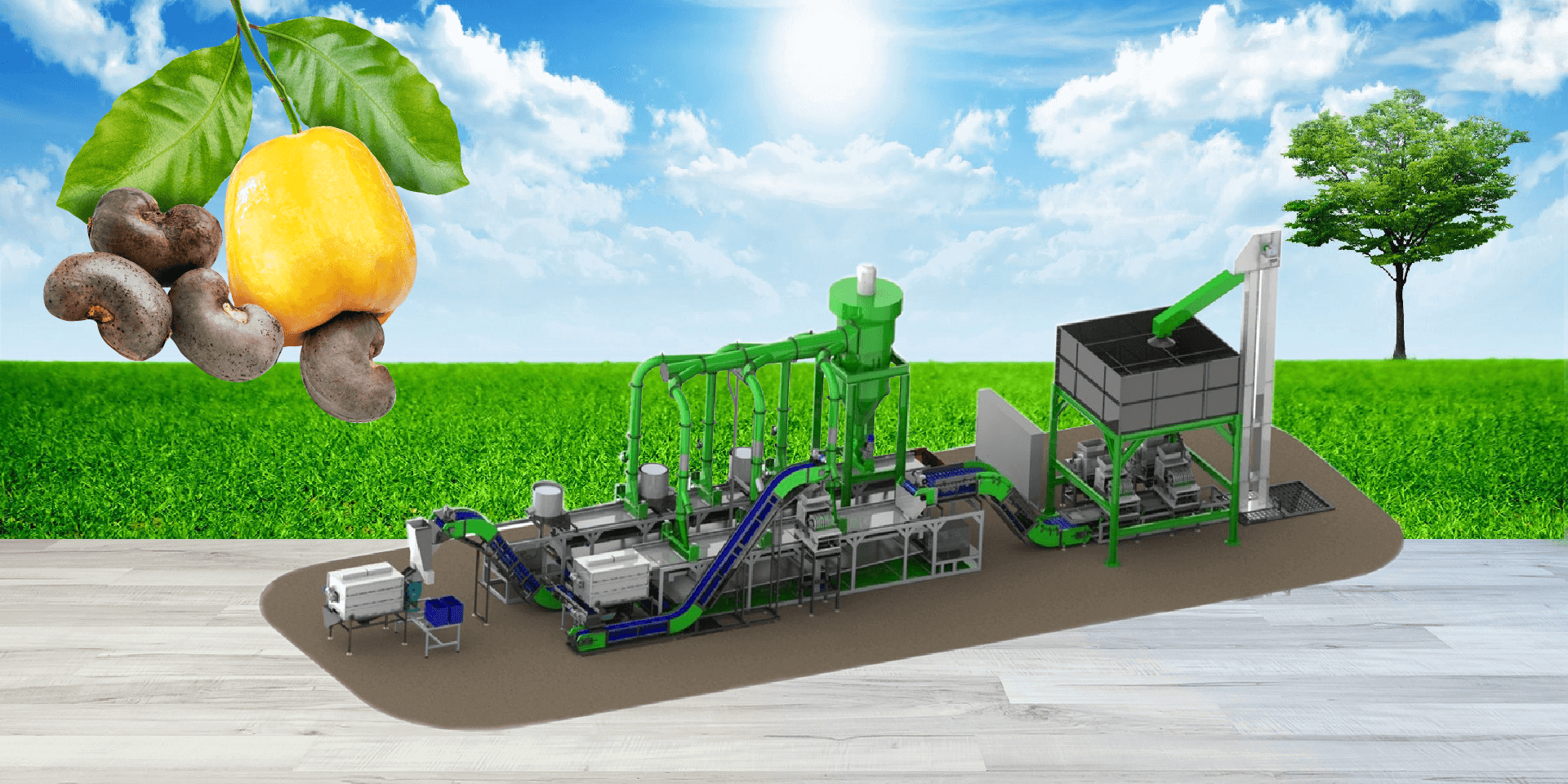 Automatic Cashew Processing Machinery, Color Sorter Machine Manufacture and Global Supplier 
