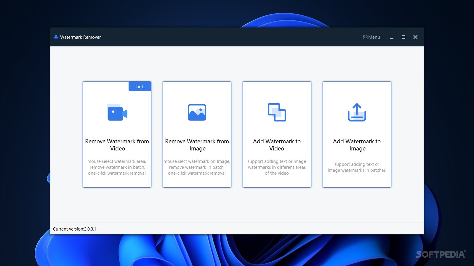 Remove Watermark From Video