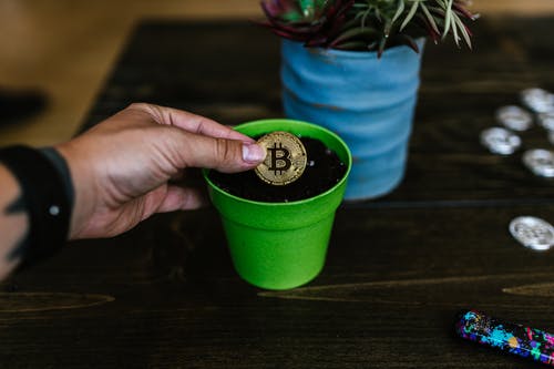 Make huge profits with Security Token Exchange Development: