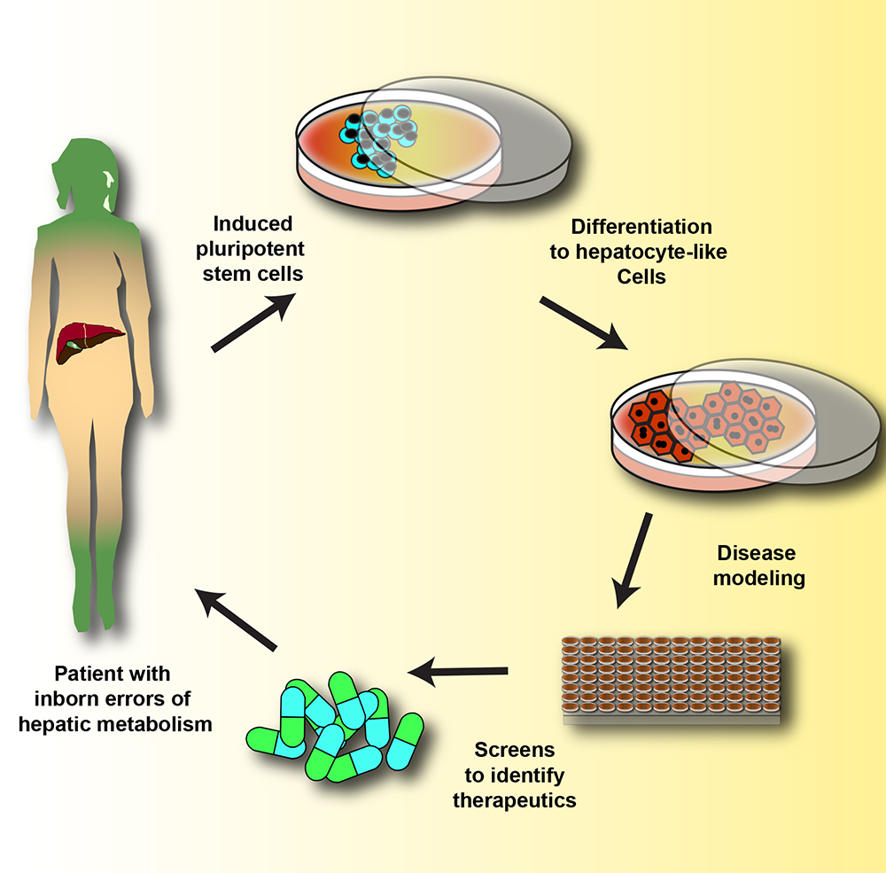 Symptoms and Prevention of Inborn Errors of Metabolism | Dr. Atish Bakane