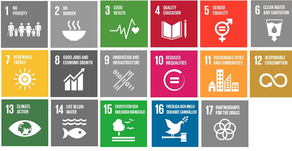 Sustainability Services — Livsite