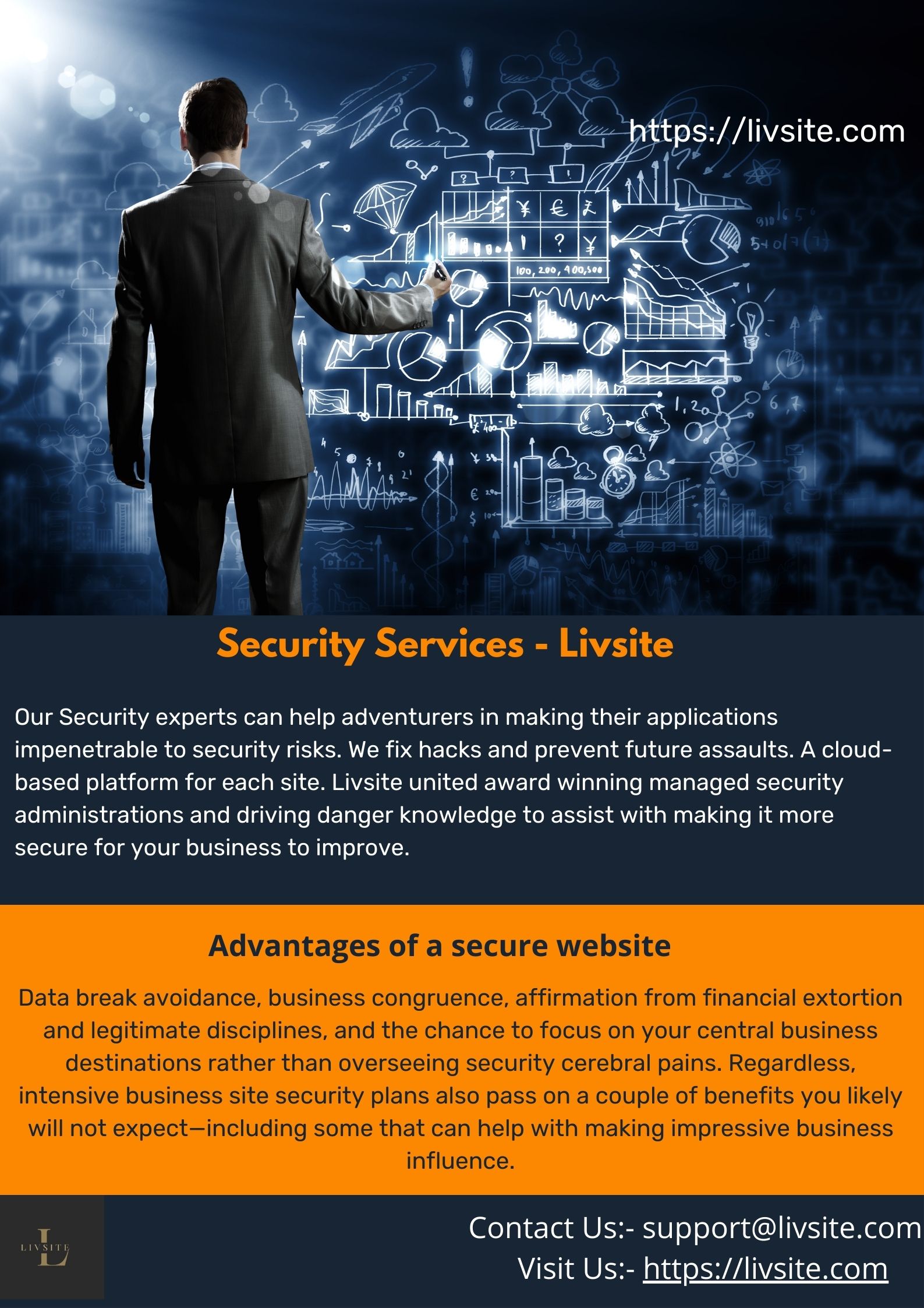 Security Services - Livsite
