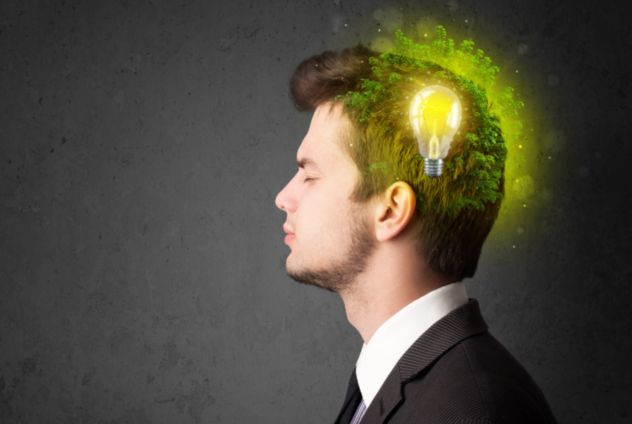 Mushroom Brain Boost: Get Natural Brain Power