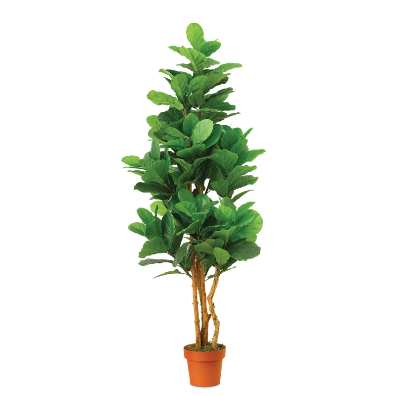 Shop the Best Artificial Cycas Palm Tree in Dubai | Siji Greenhouse