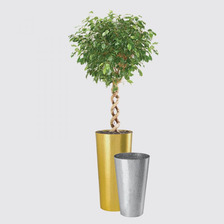 Shop the Best Aluminum Planter Pots in Dubai | Siji Greenhouse