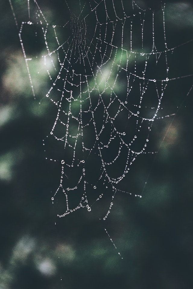 Web3.0 and the Future of Social Media