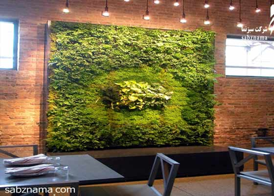 The application of vertical garden at the space restaurant