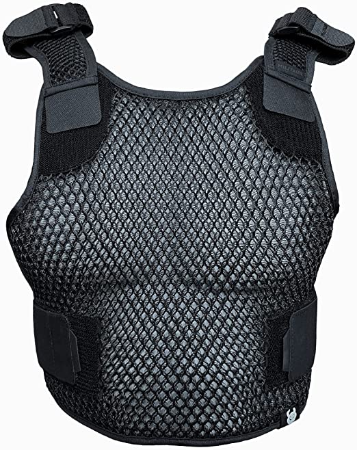 Body Armor: Variants Through the Ages