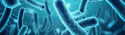 Transfection Reagents Market Drivers, Restraints and Challenges Analysis Report 2021-2027