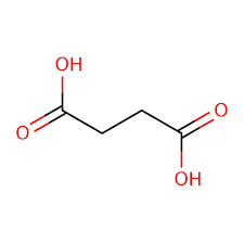 Succinic Acid Market | Global Industry Trends, Segmentation, Business Opportunities & Forecast To 2028