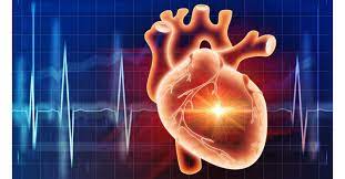 Cardiovascular Disease Market Size, Share, Regional Overview and Global Forecast to 2028