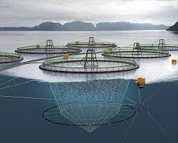 Aquaculture Net Cages Market Size, Status, Growth | Industry Analysis Report 2020-2027