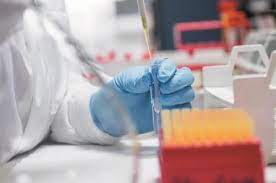 Report on Laboratory Proficiency Testing Market Research 2028 - Value Market Research