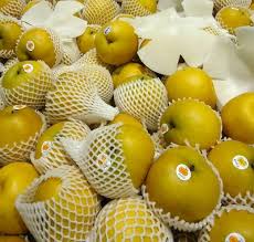 Plasma Feed Market 2020 Market Size, Dynamics & Forecast Report to 2028