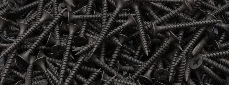 Top Quality High Tensile Screw Manufacturer in India