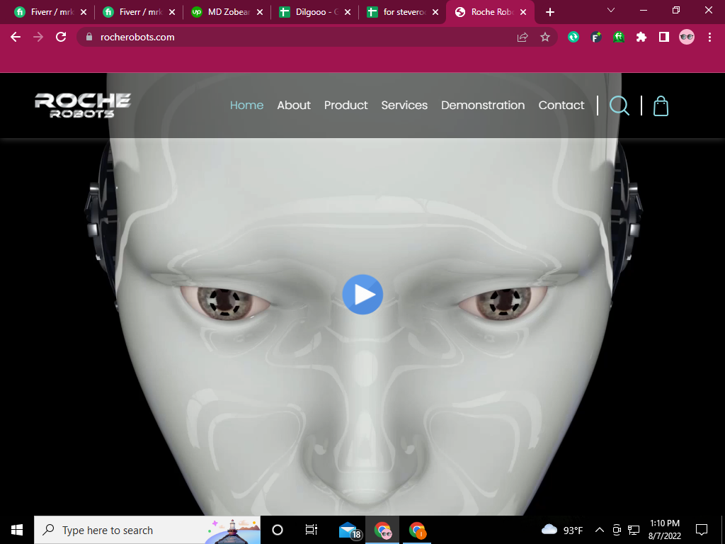 Roche Robots