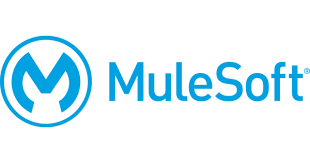 A Beginners Guide On Mulesoft Any Point Paltofrm