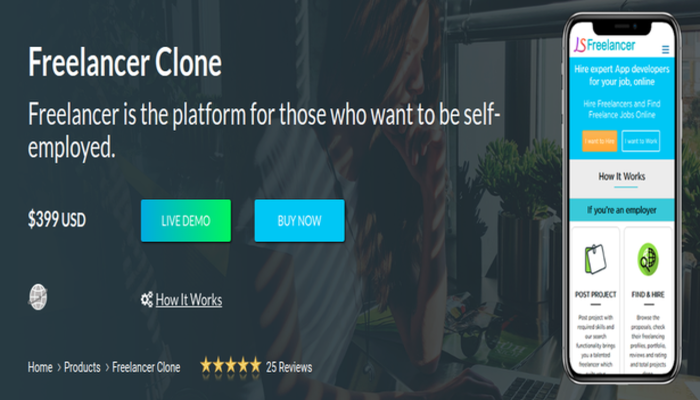 Freelancer Clone