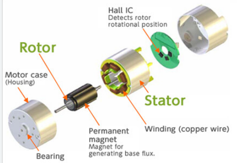 What are the components of a Brushless DC motor?