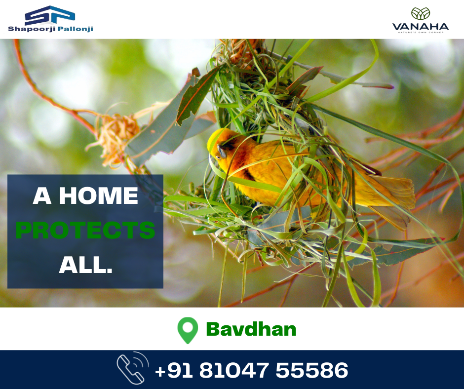 1&2 BHK Flats For Sale In Bavdhan- Shapoorji Pallonji Pune 