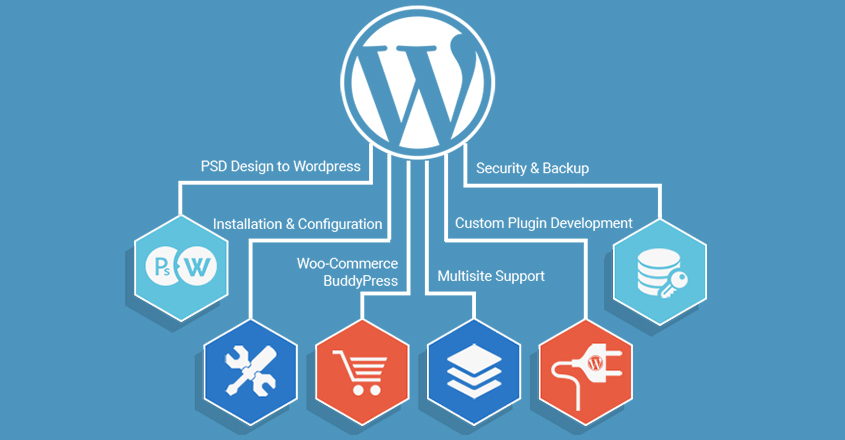Do you need Custom Wordpress Design for your website?