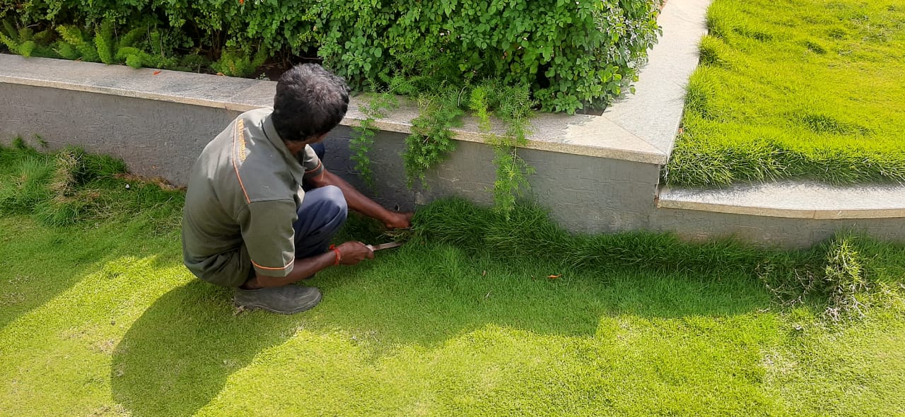 Best Landscaping Services in Bangalore