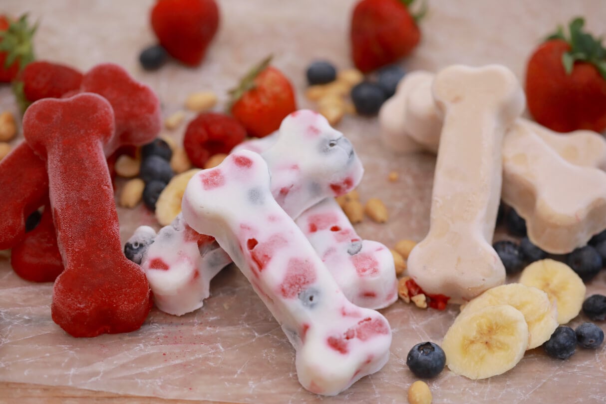 Dog Treats Market 2022 Size, Growth Factors & Forecast Report