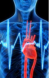 Cardiovascular Device Market Size, Drivers, Restraints Challenges, and Growth Opportunities Till 2028