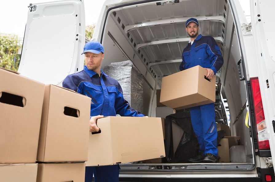 Access the Professional Support to Handle the Removal Process