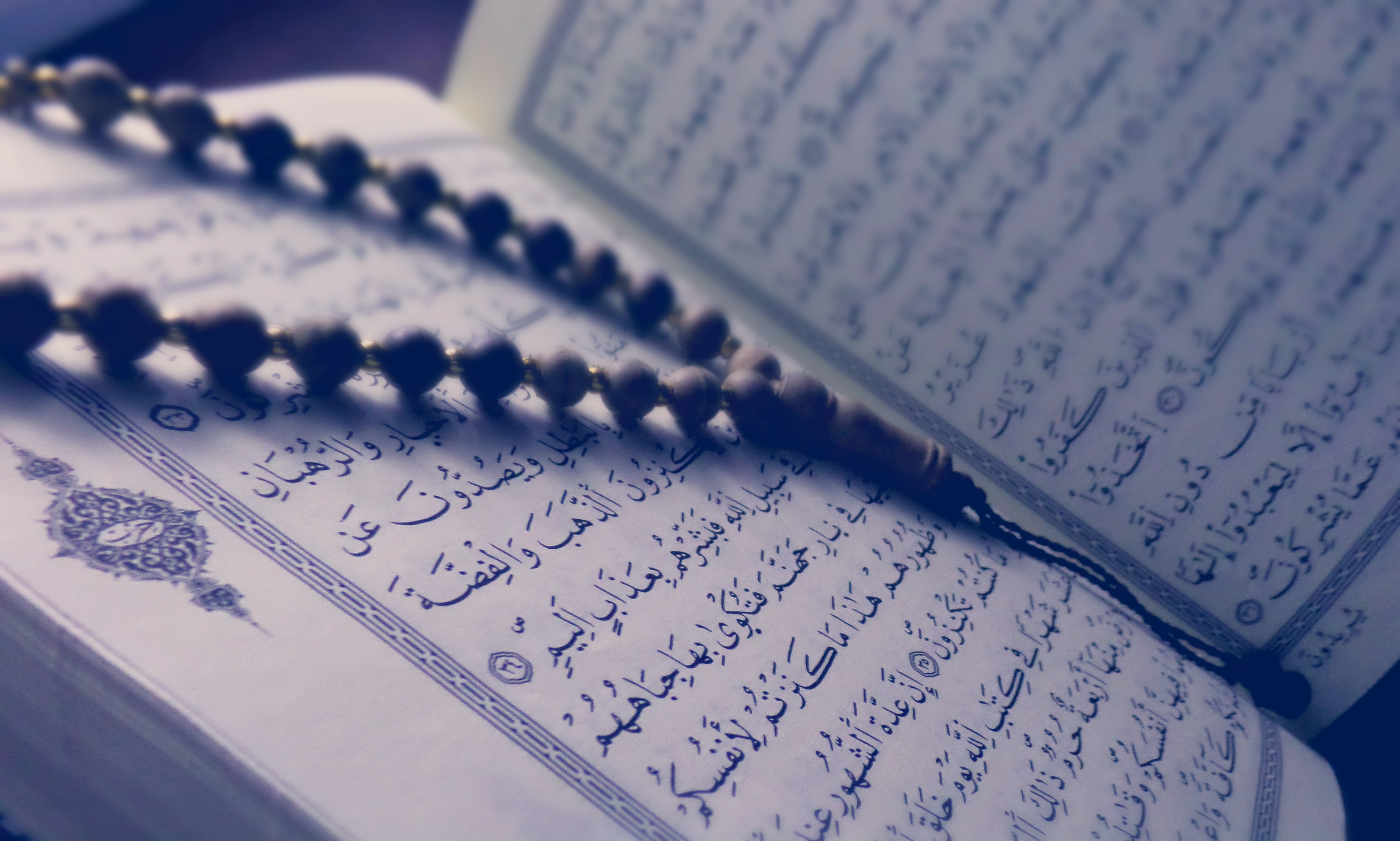 Online Quran Classes for Women in USA 