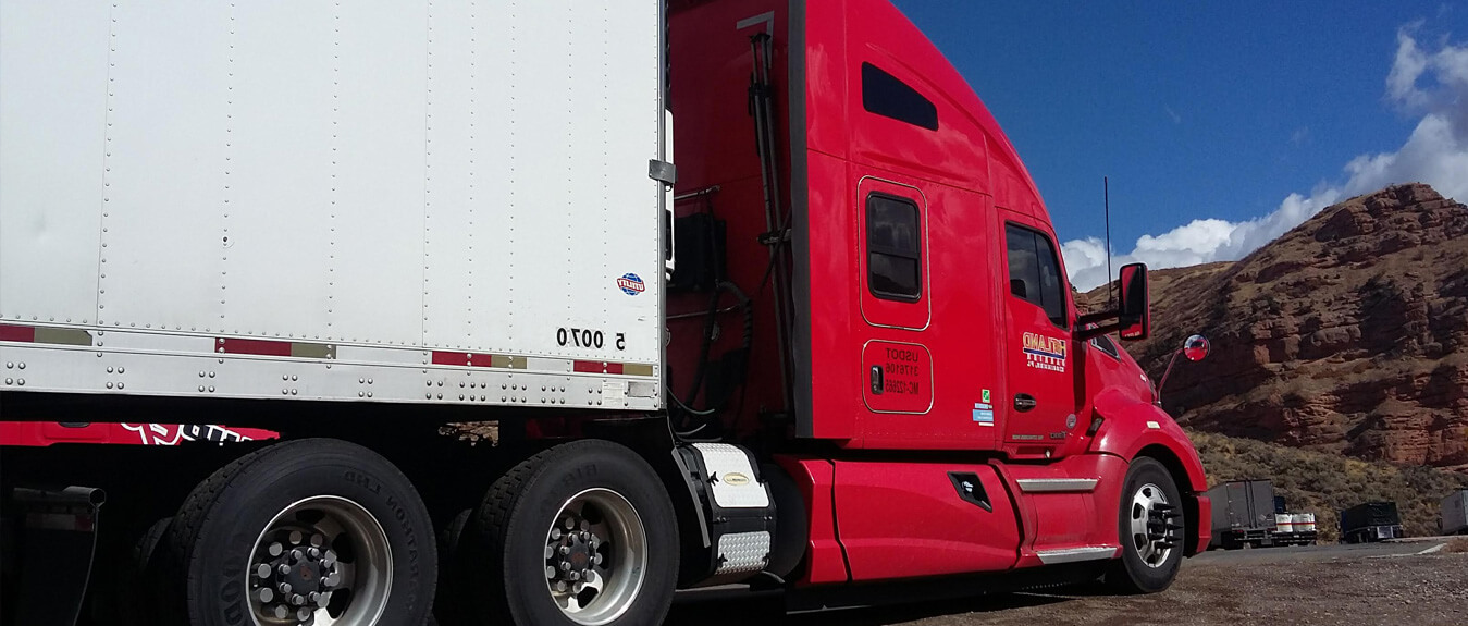 A Good Frozen Food Transport Company Delivers Food Fresh