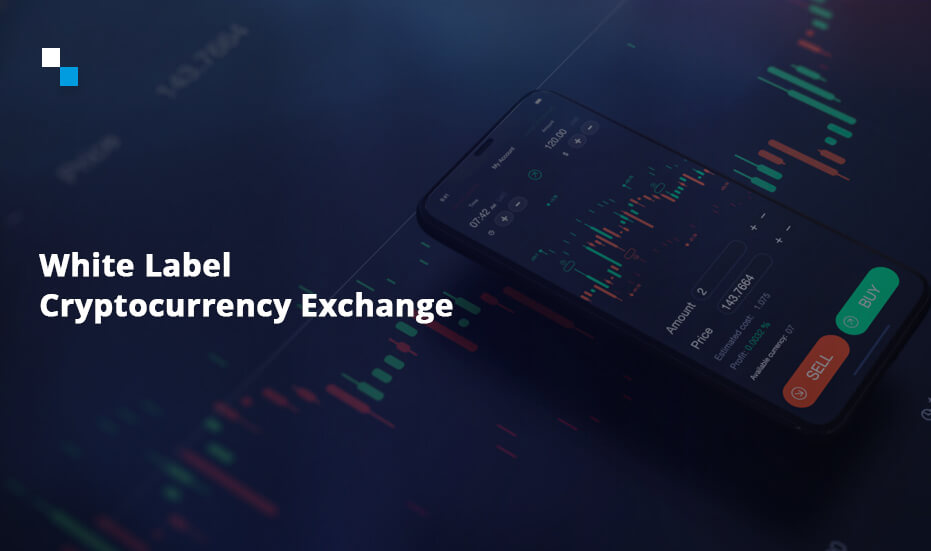 Get The Best White Label Crypto Exchange Development Services | Antier Solutions 
