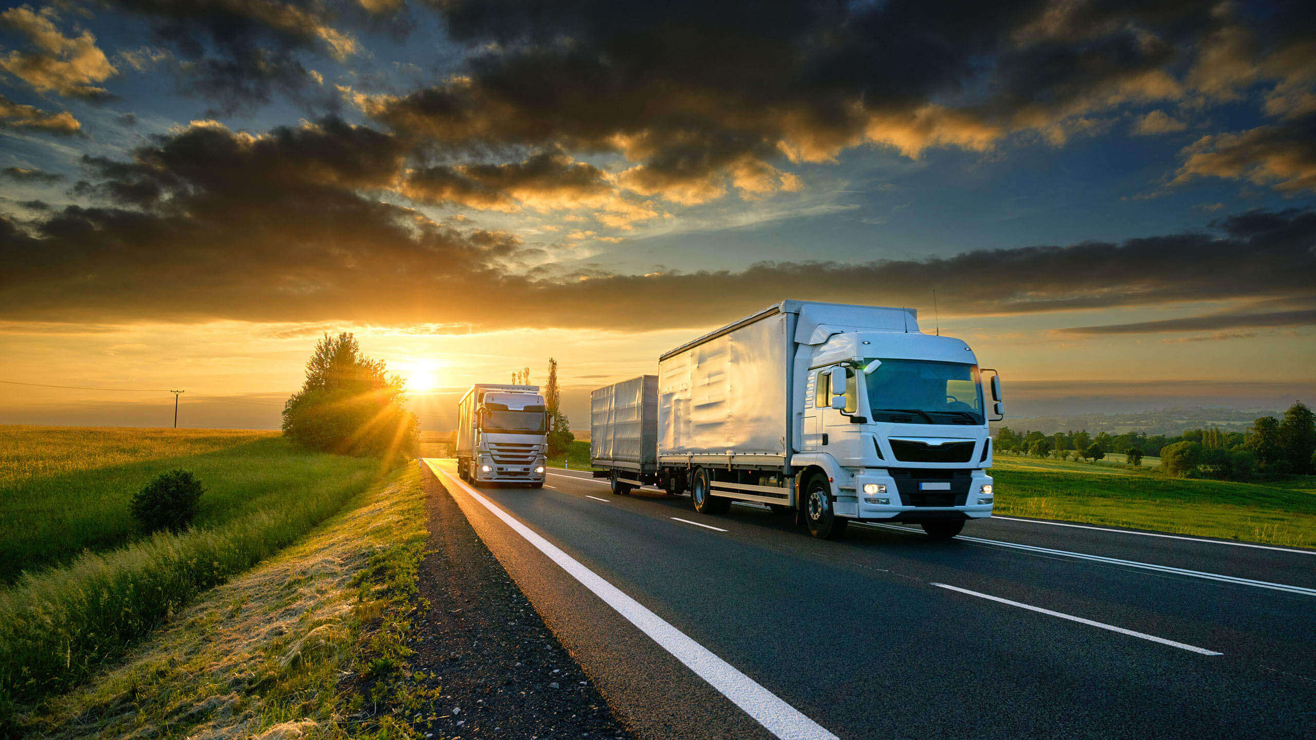 Are you looking for a reliable shipping company - Calgary transport companies 