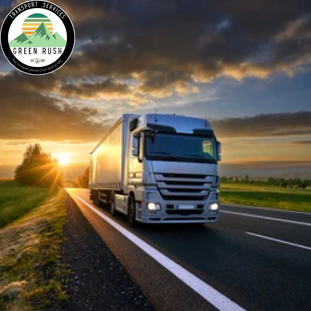 Purse Reliable And Secure Cannabis Transport With Us