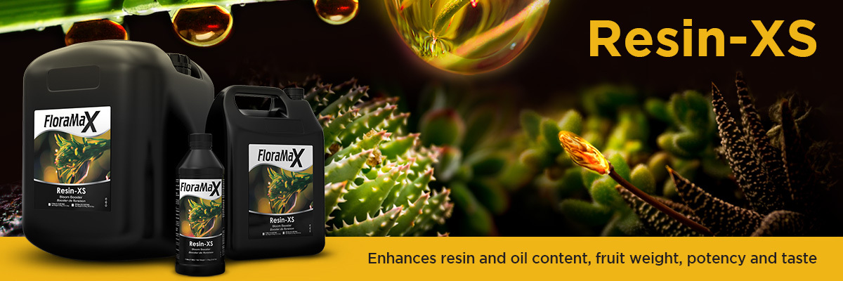 While buying hydroponic products, keep these things in mind.