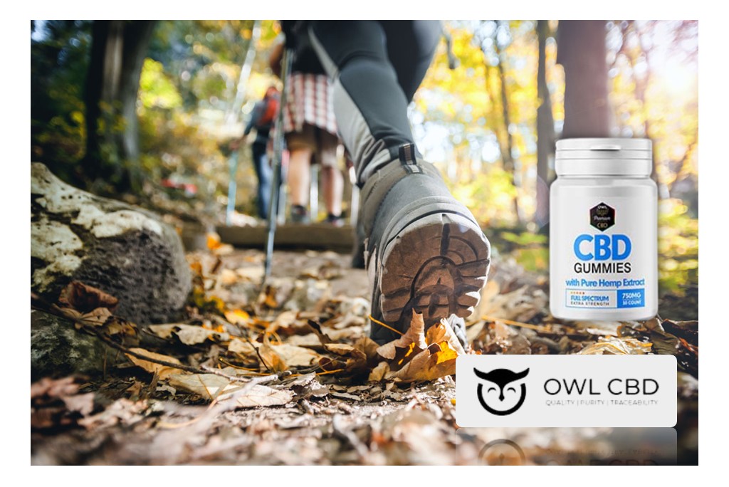 Owl Premium CBD Gummies: Enjoy Life More With CBD