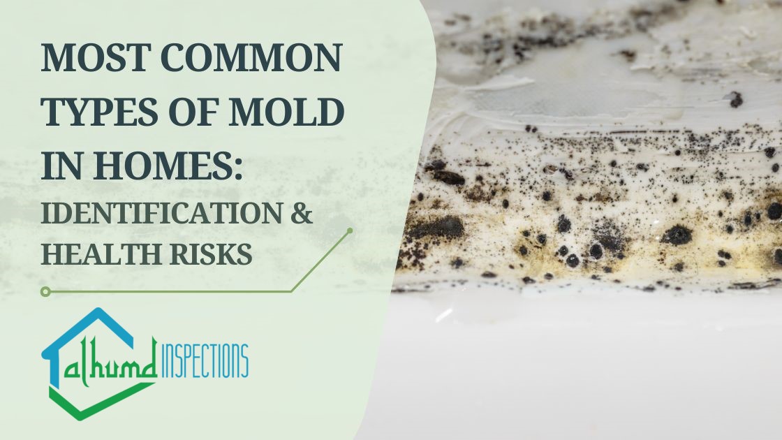 A Comprehensive Guide to Identifying Mold Types